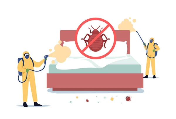 Comment gérer une infestation de punaises de lit dans un appartement