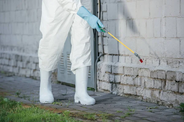 Dératisation des établissements de santé comment garantir la sécurité des patients