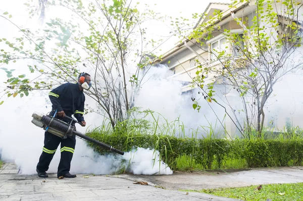 Comment protéger votre maison après une désinsectisation