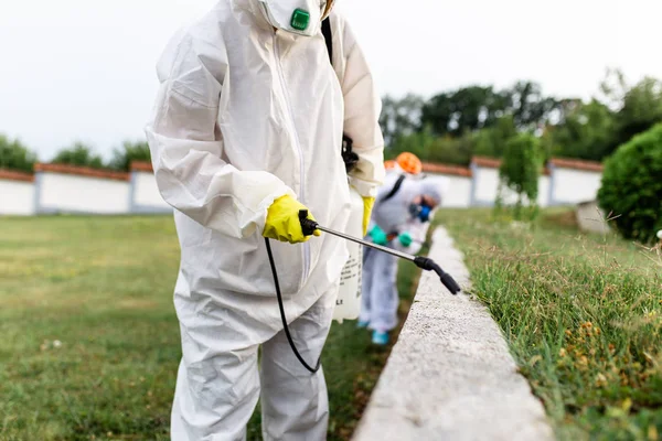 Comment bien choisir un traitement insecticide pour la désinsectisation