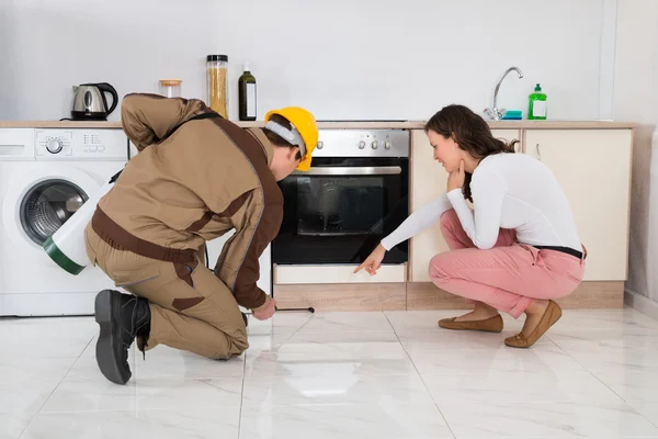 des termites dans ma maison